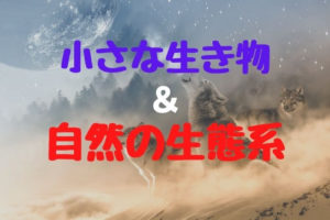 [生物] 小さな生き物と自然の生態系