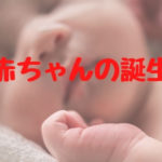 [生物] 赤ちゃんの誕生