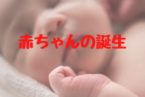 [生物] 赤ちゃんの誕生